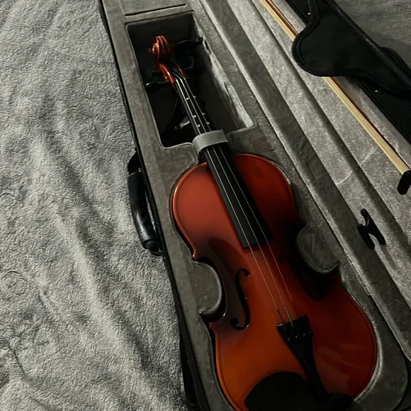 violin set ! 4/4 full set - Picture 1 of 10